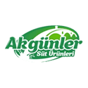 akgunler logo