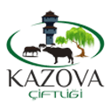 kazova cifligi logo