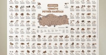 Türkiye Peynir Haritası (Poster)